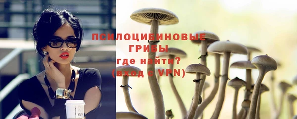 твердый Абаза