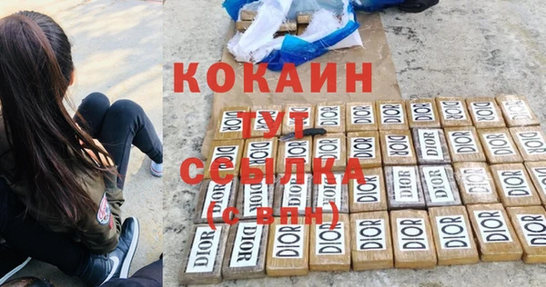 твердый Абаза